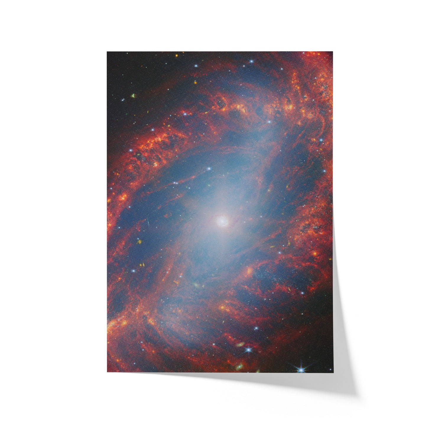 A Detailed View of a Nearby Galaxy NGC 2566