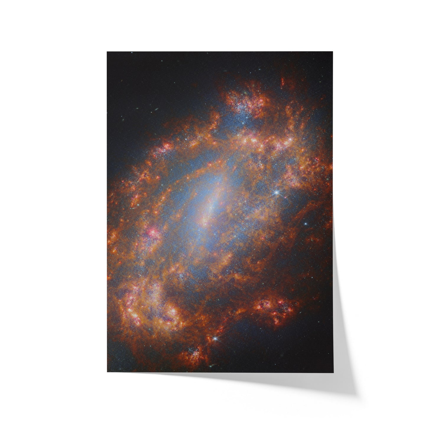 A Cosmic Treasure NGC 1559