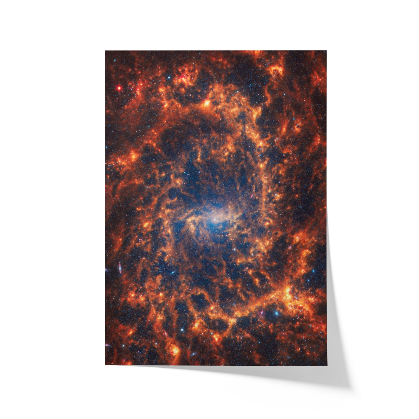 Spiral galaxy NGC 2835