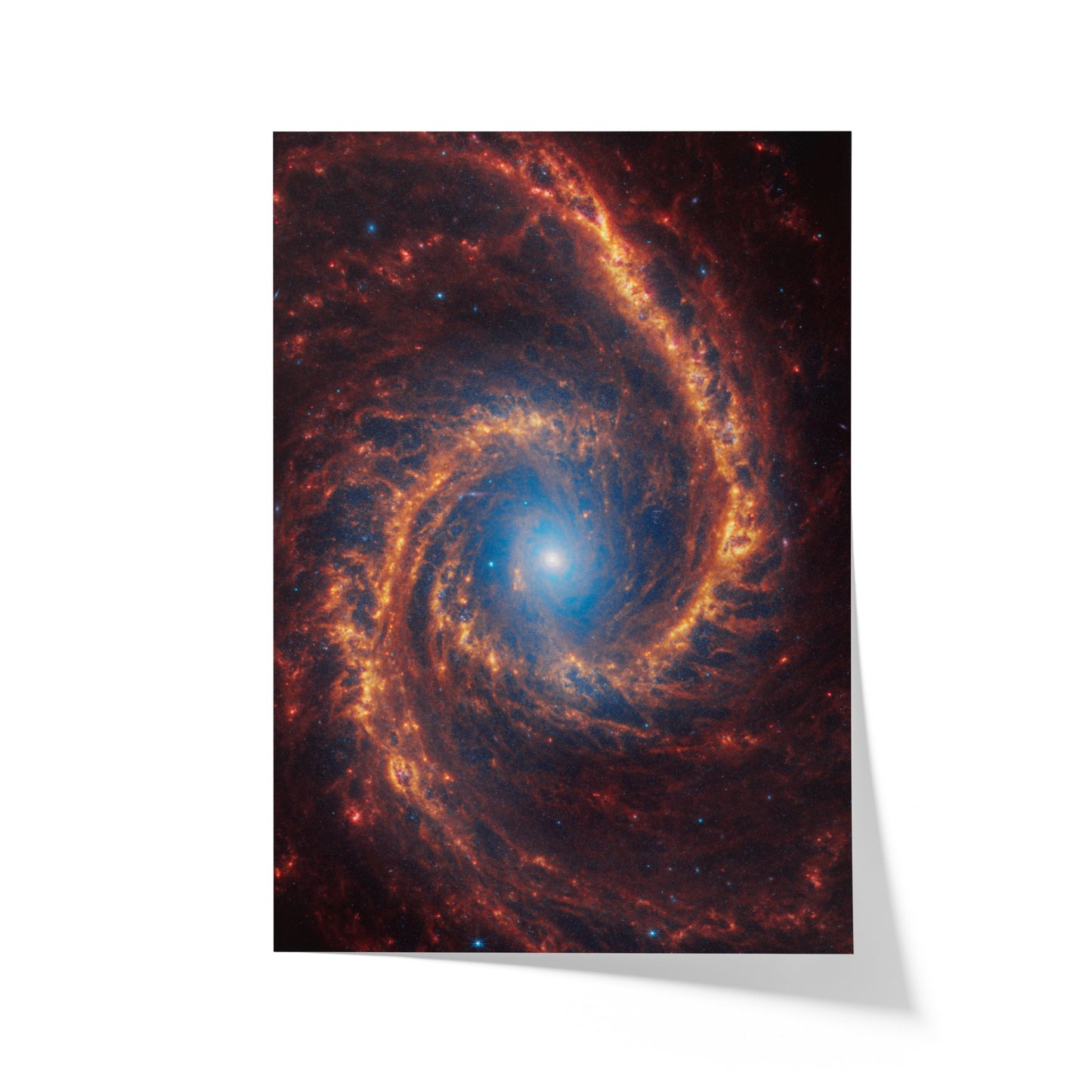 Spiral galaxy NGC 1566