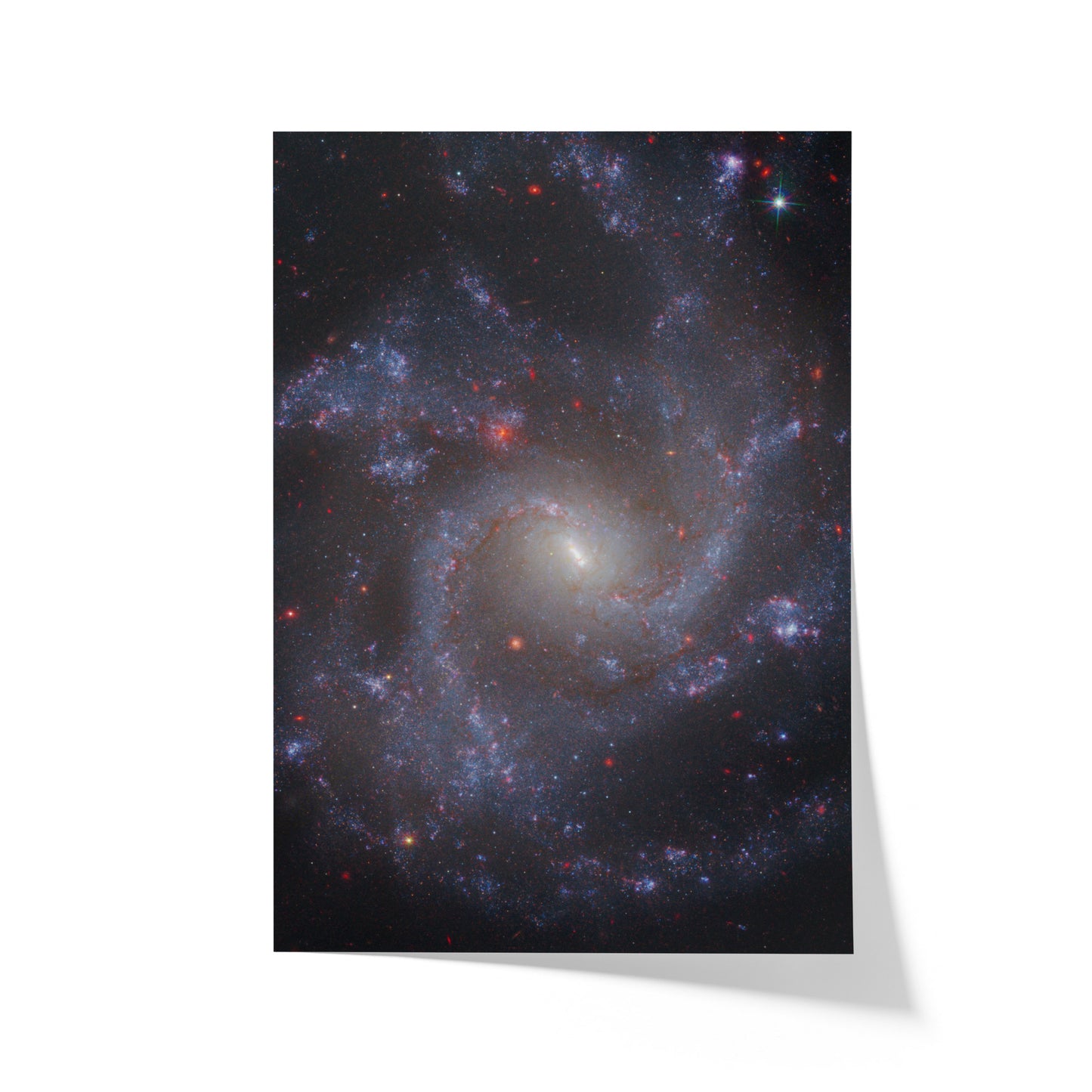 Face-on Spiral Galaxy NGC 5668