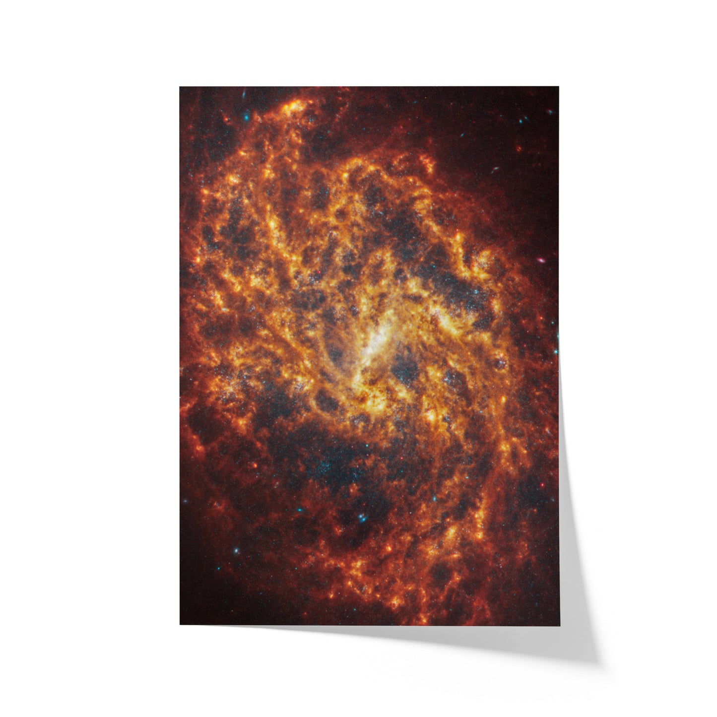 Spiral galaxy NGC 1087