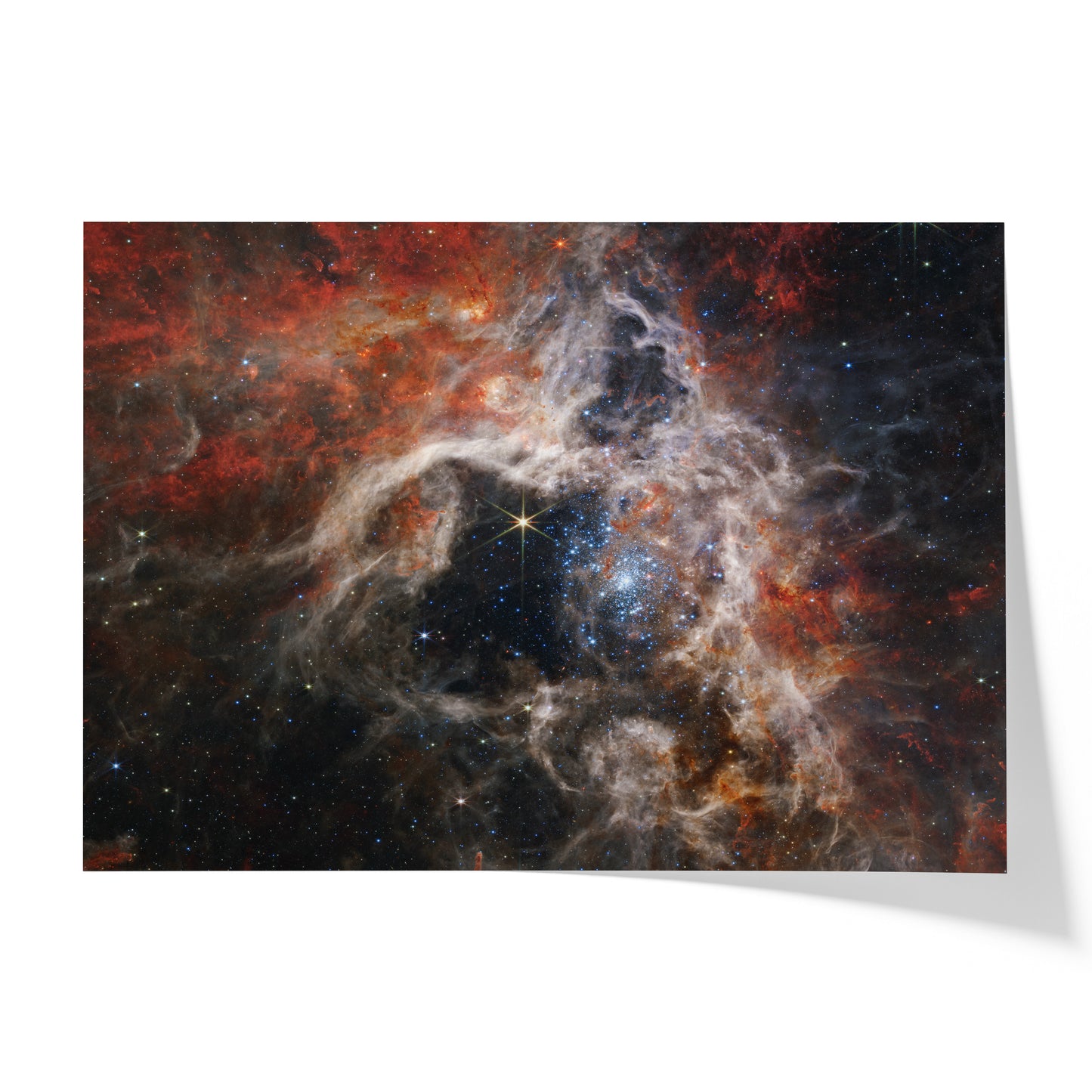 A Cosmic Tarantula