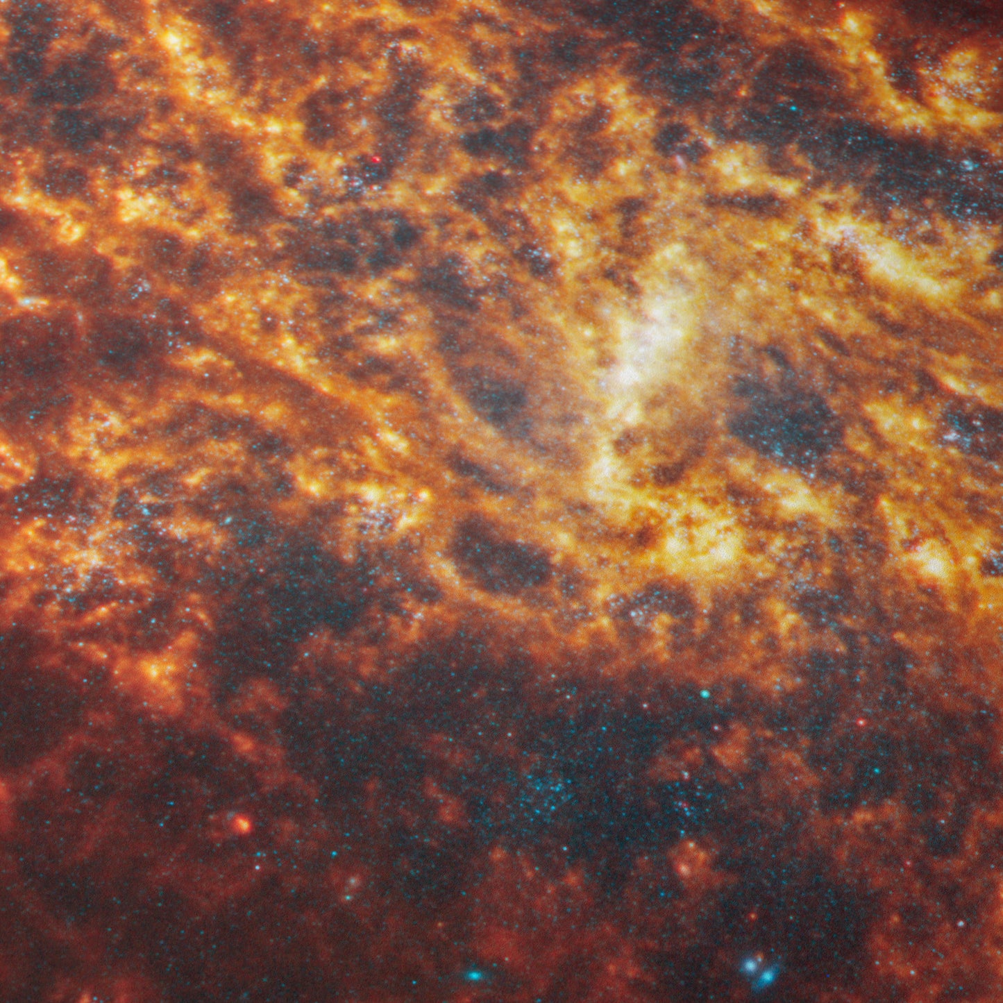 Spiral galaxy NGC 1087
