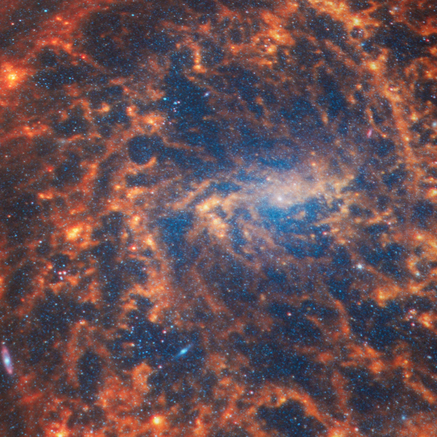 Spiral galaxy NGC 2835