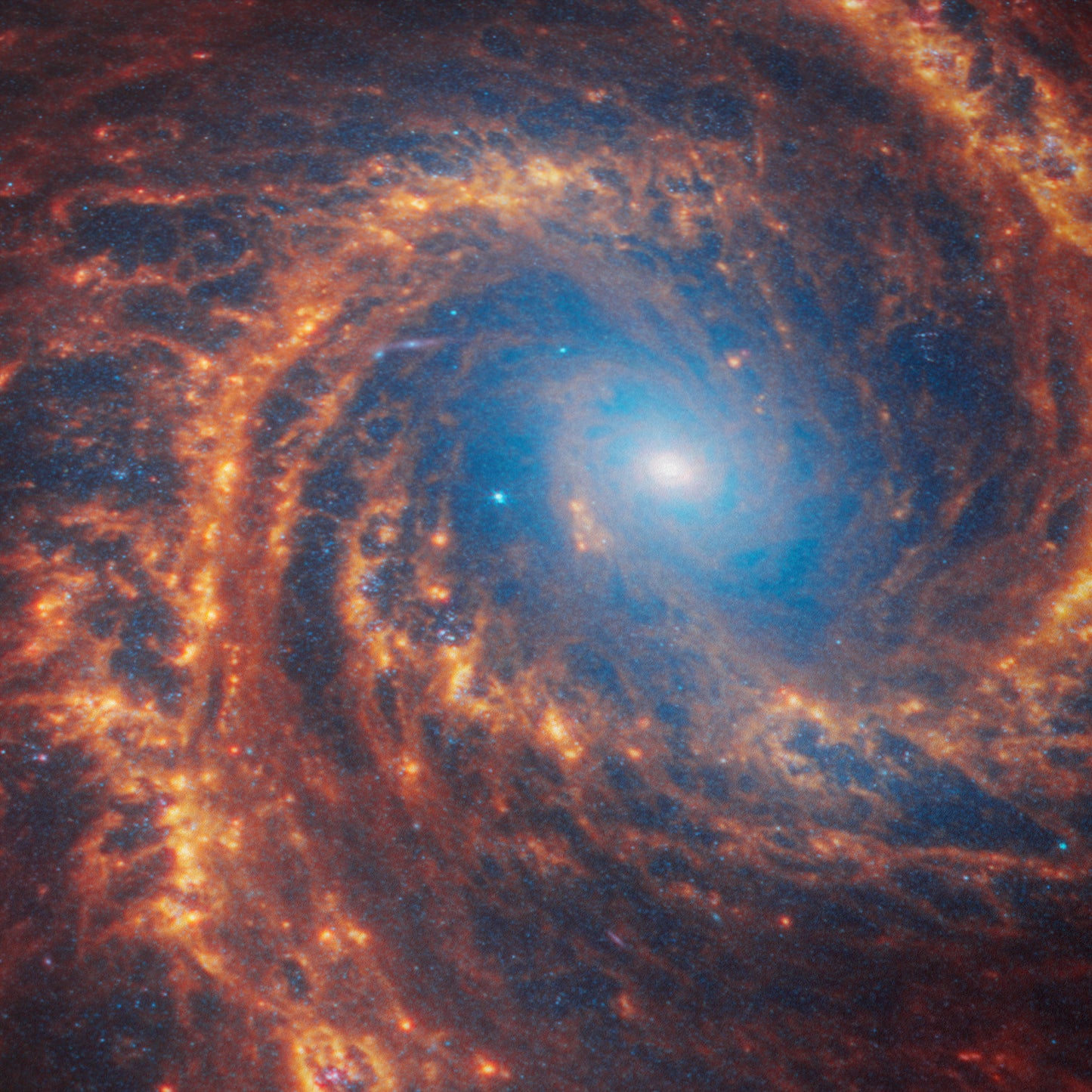 Spiral galaxy NGC 1566