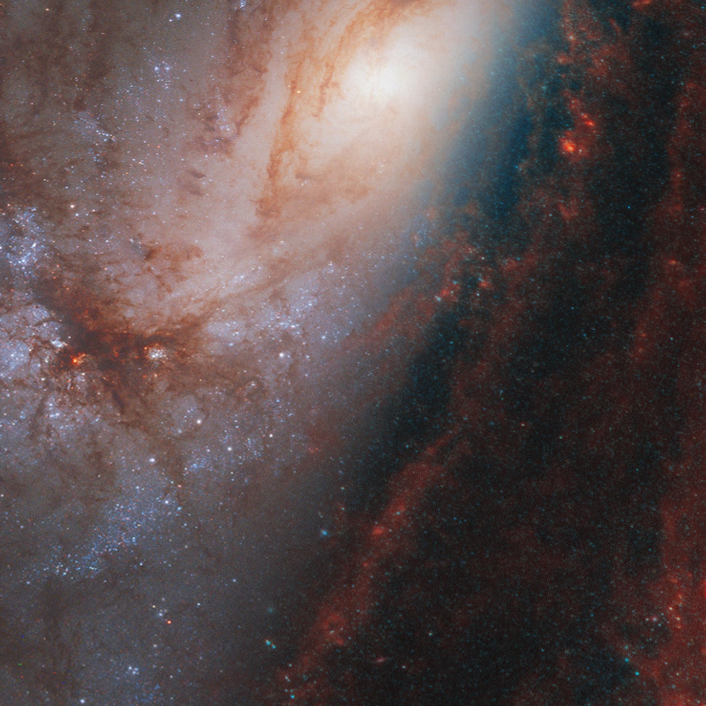 Face-on Spiral Galaxy NGC 3627