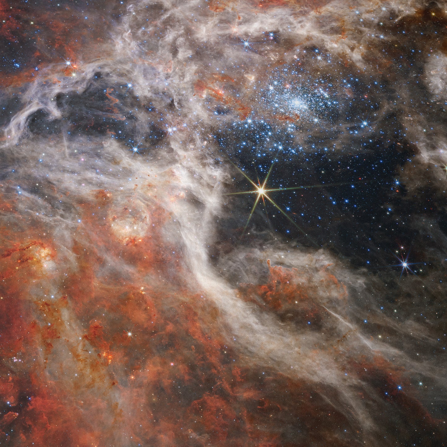 A Cosmic Tarantula
