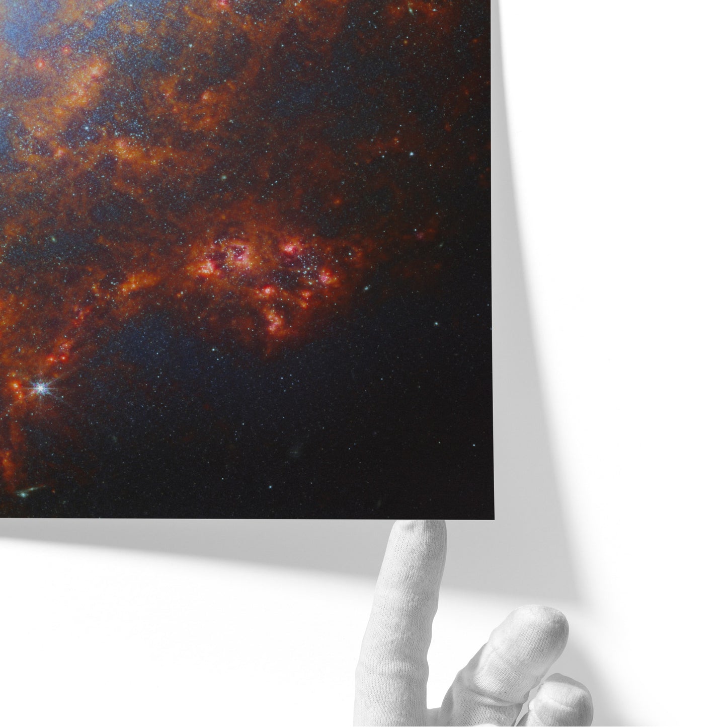 A Cosmic Treasure NGC 1559