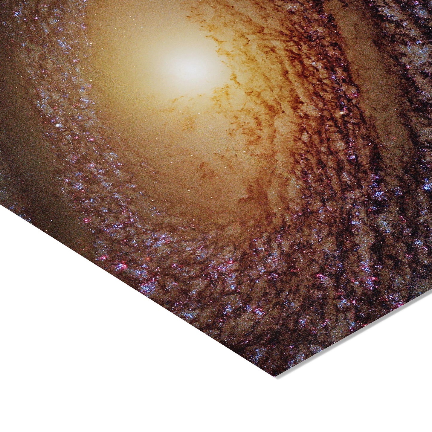 Galaxy NGC 2841