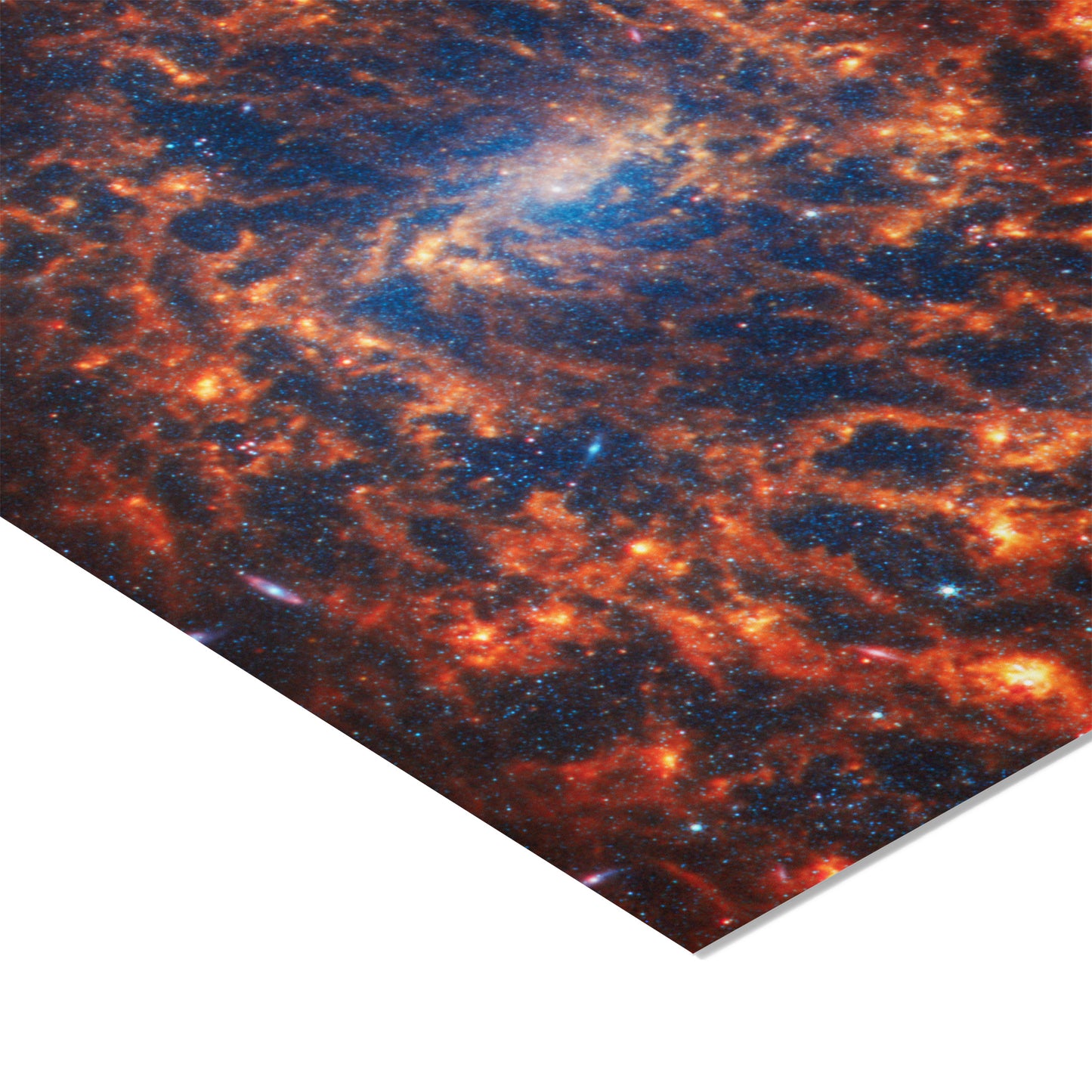 Spiral galaxy NGC 2835
