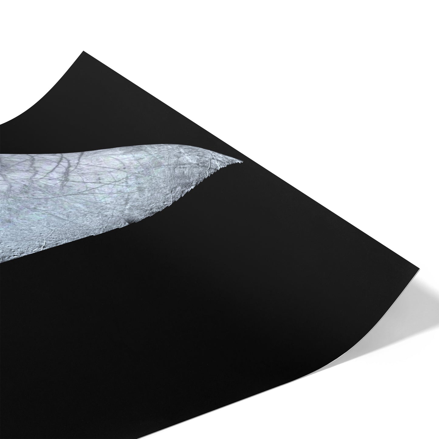 Crescent Europa