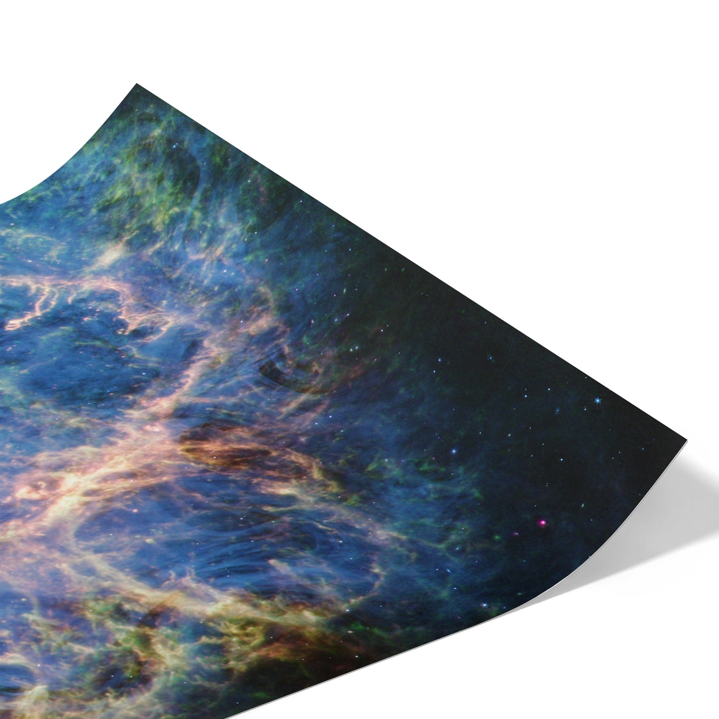 Origins of the Crab Nebula