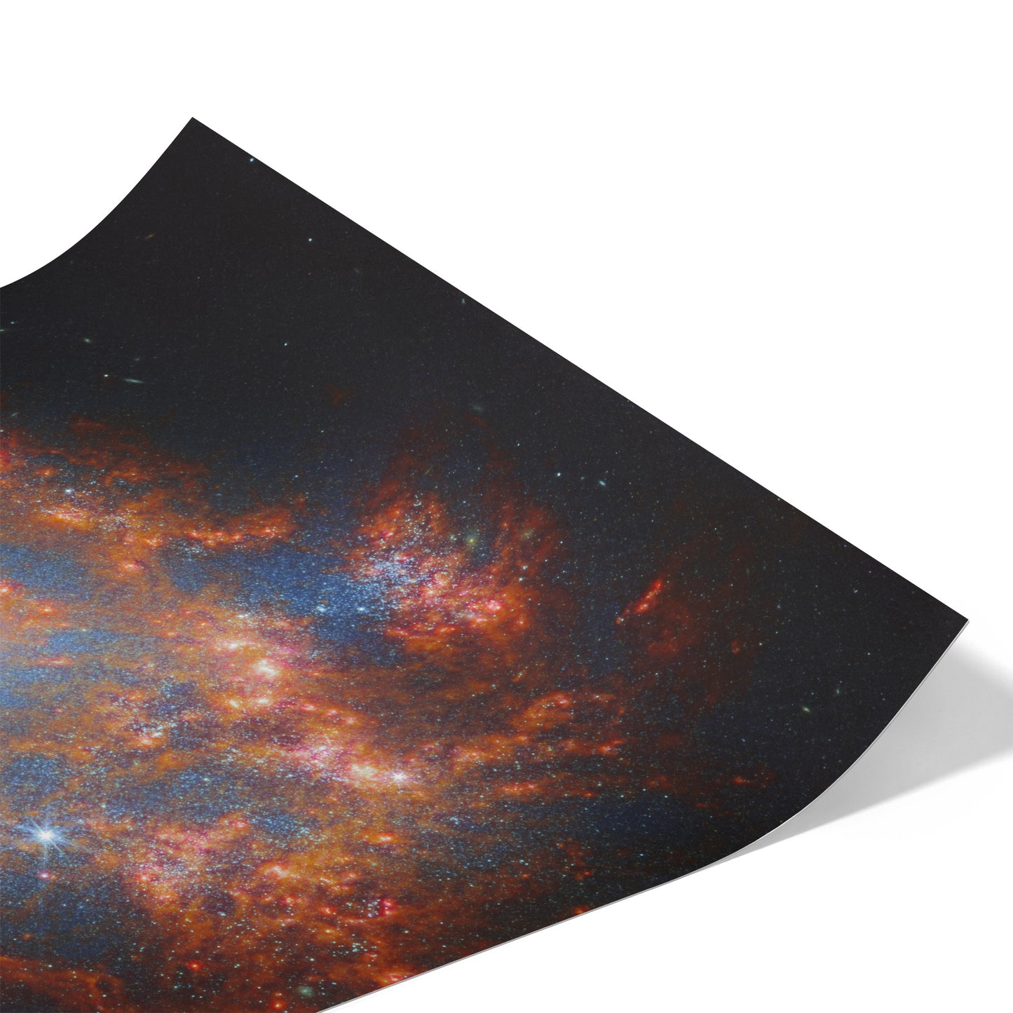 A Cosmic Treasure NGC 1559