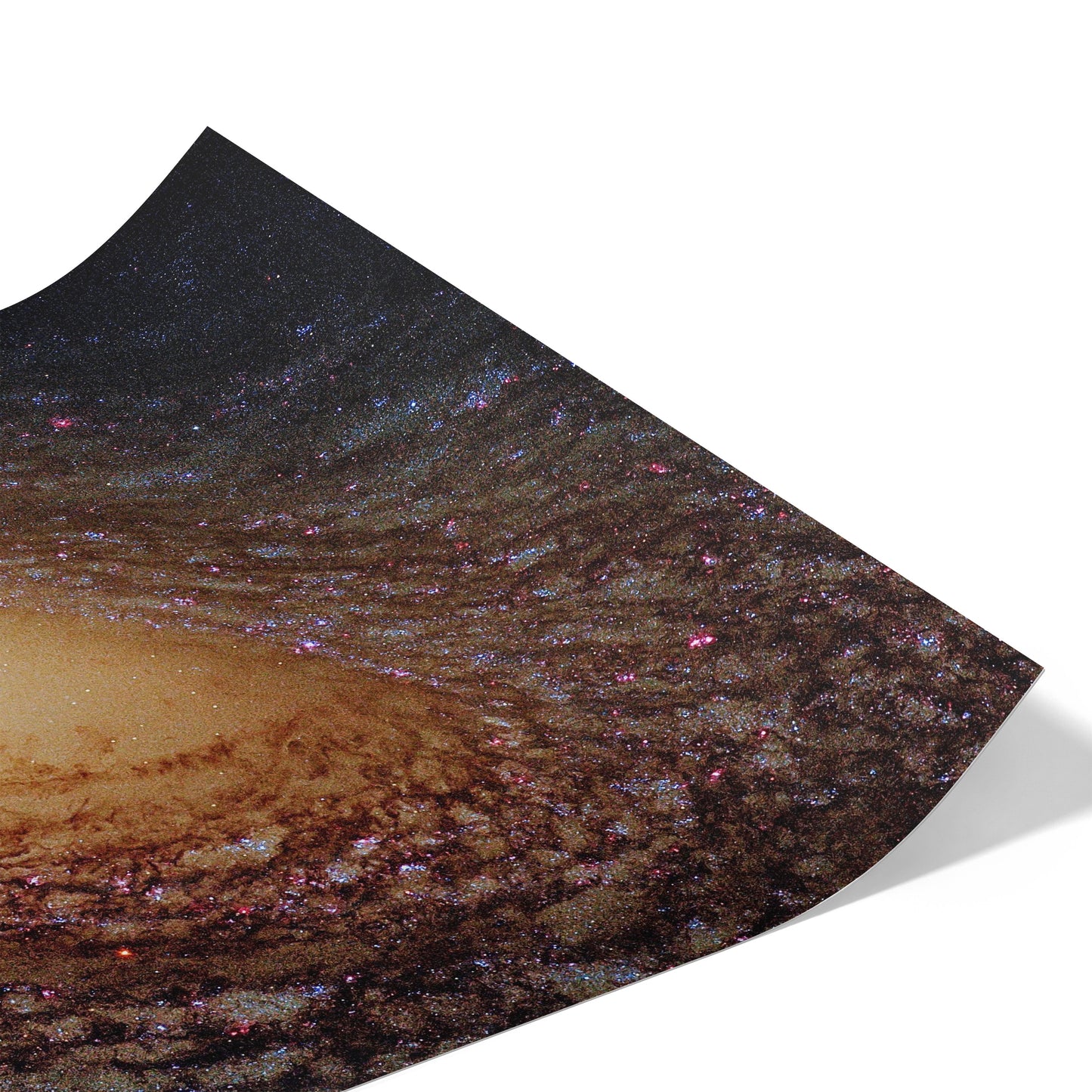 Galaxy NGC 2841
