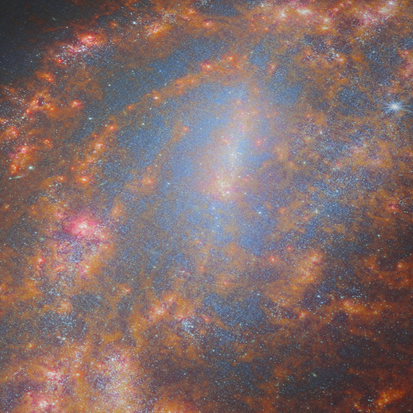 A Cosmic Treasure NGC 1559