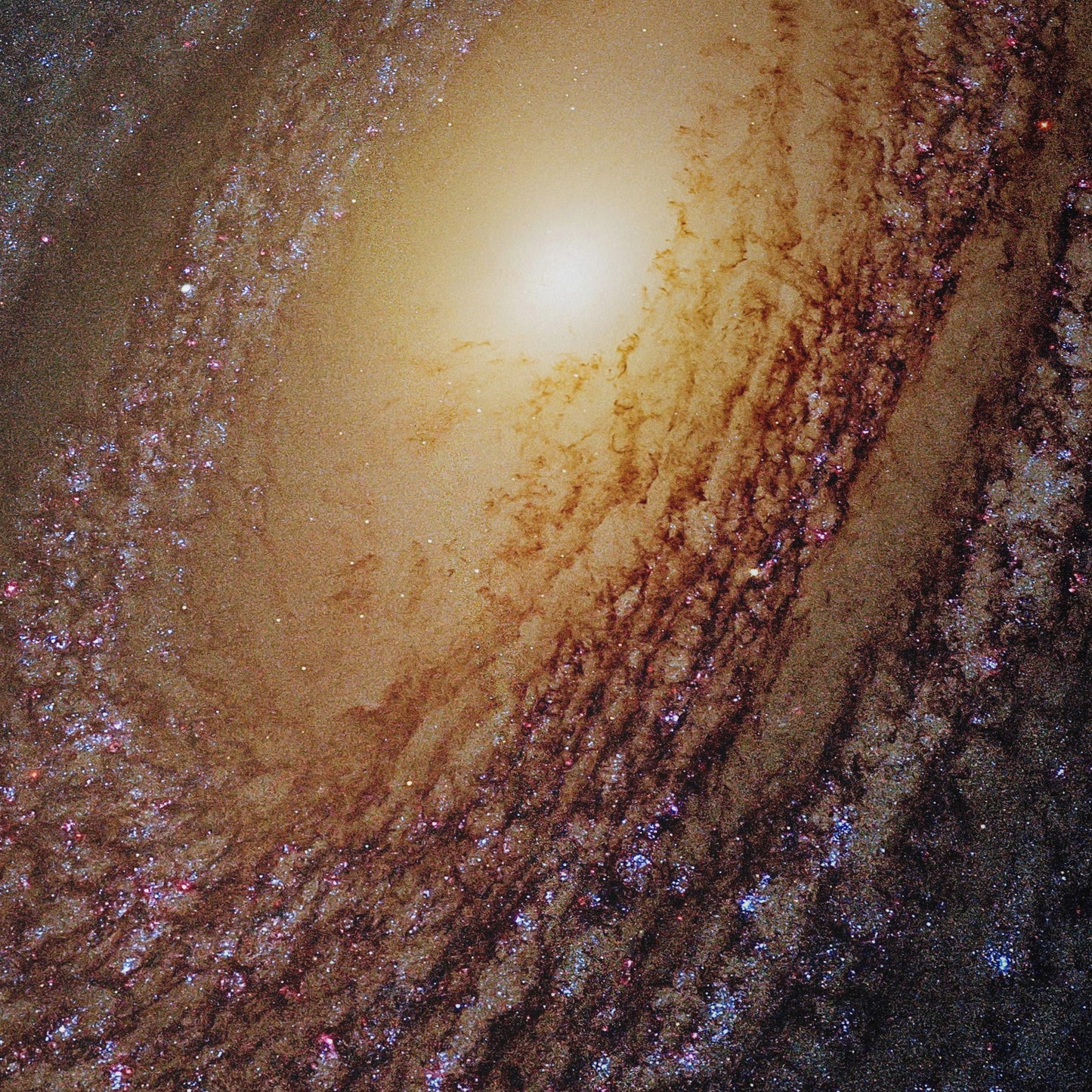 Galaxy NGC 2841