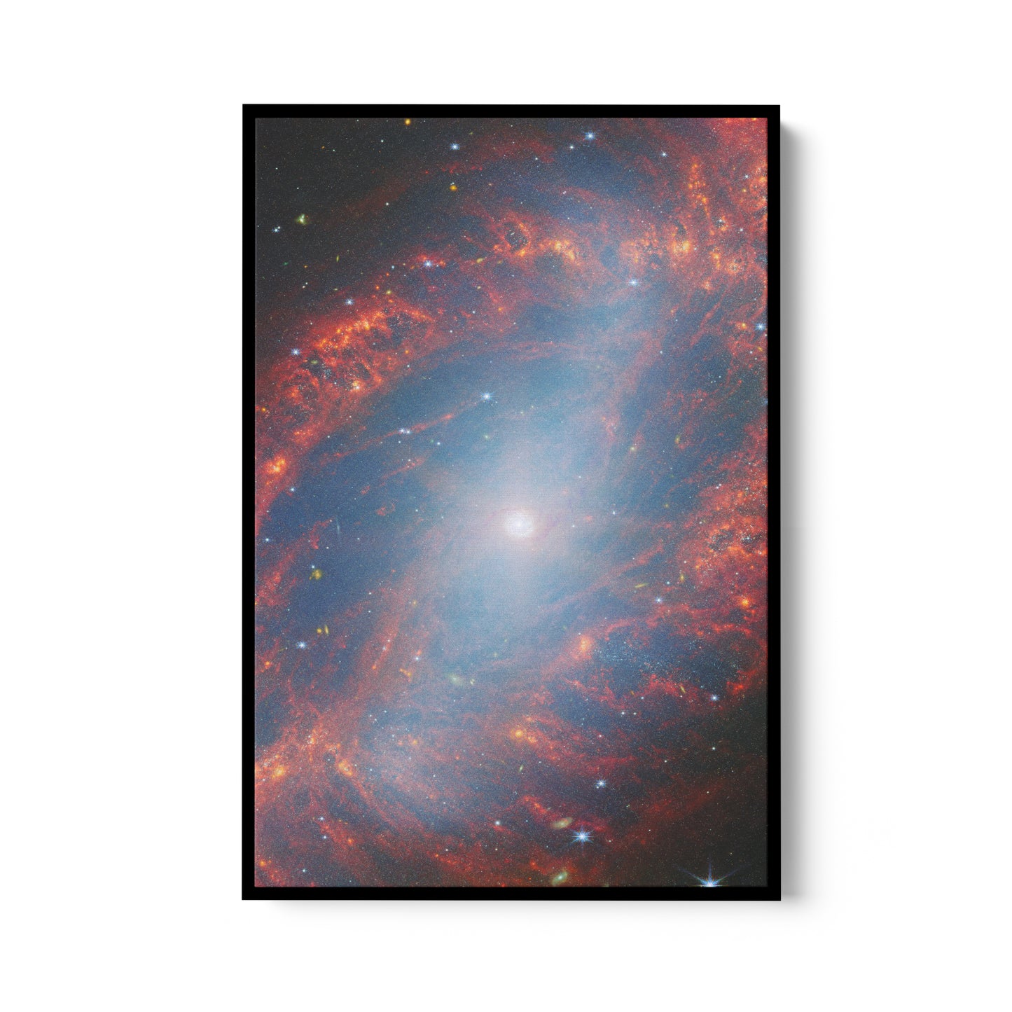 A Detailed View of a Nearby Galaxy NGC 2566