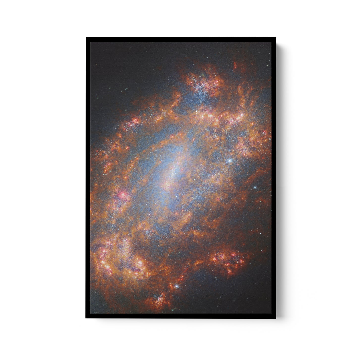 A Cosmic Treasure NGC 1559