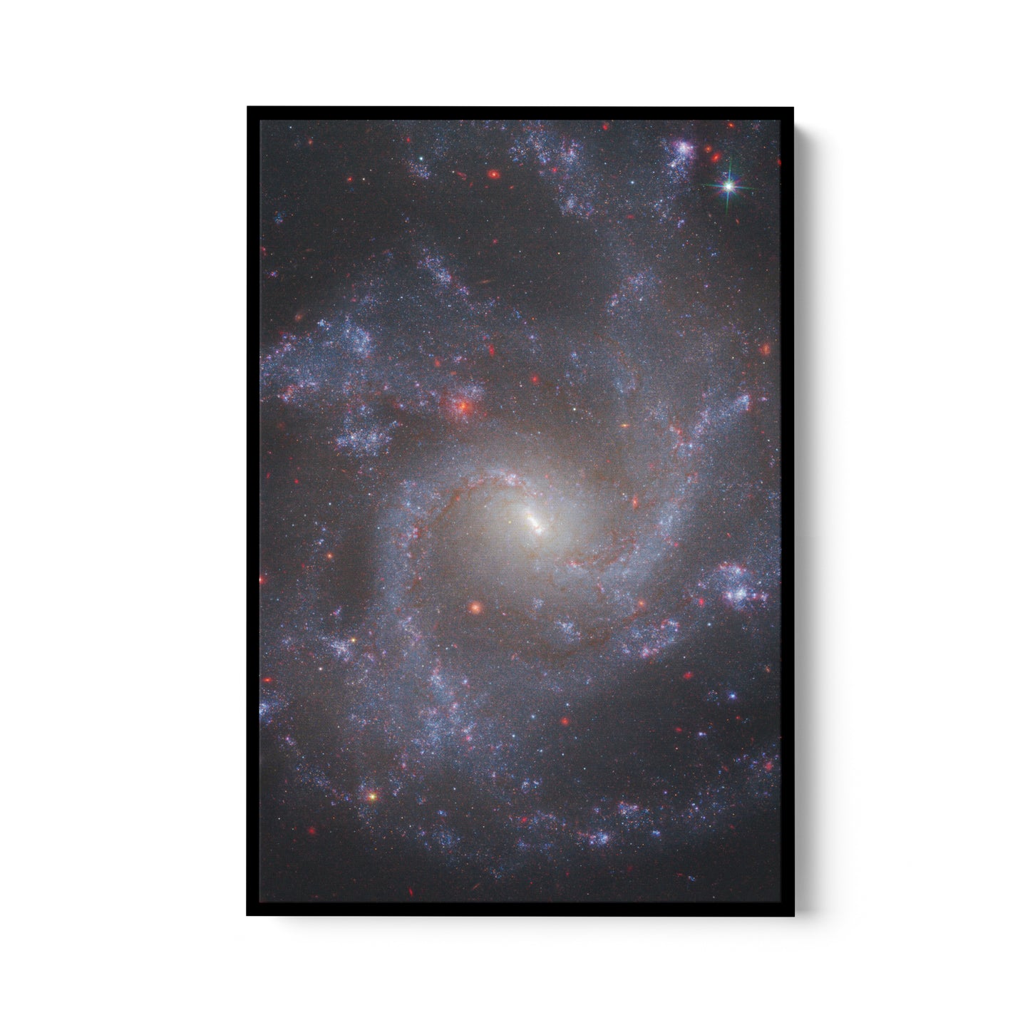 Face-on Spiral Galaxy NGC 5668