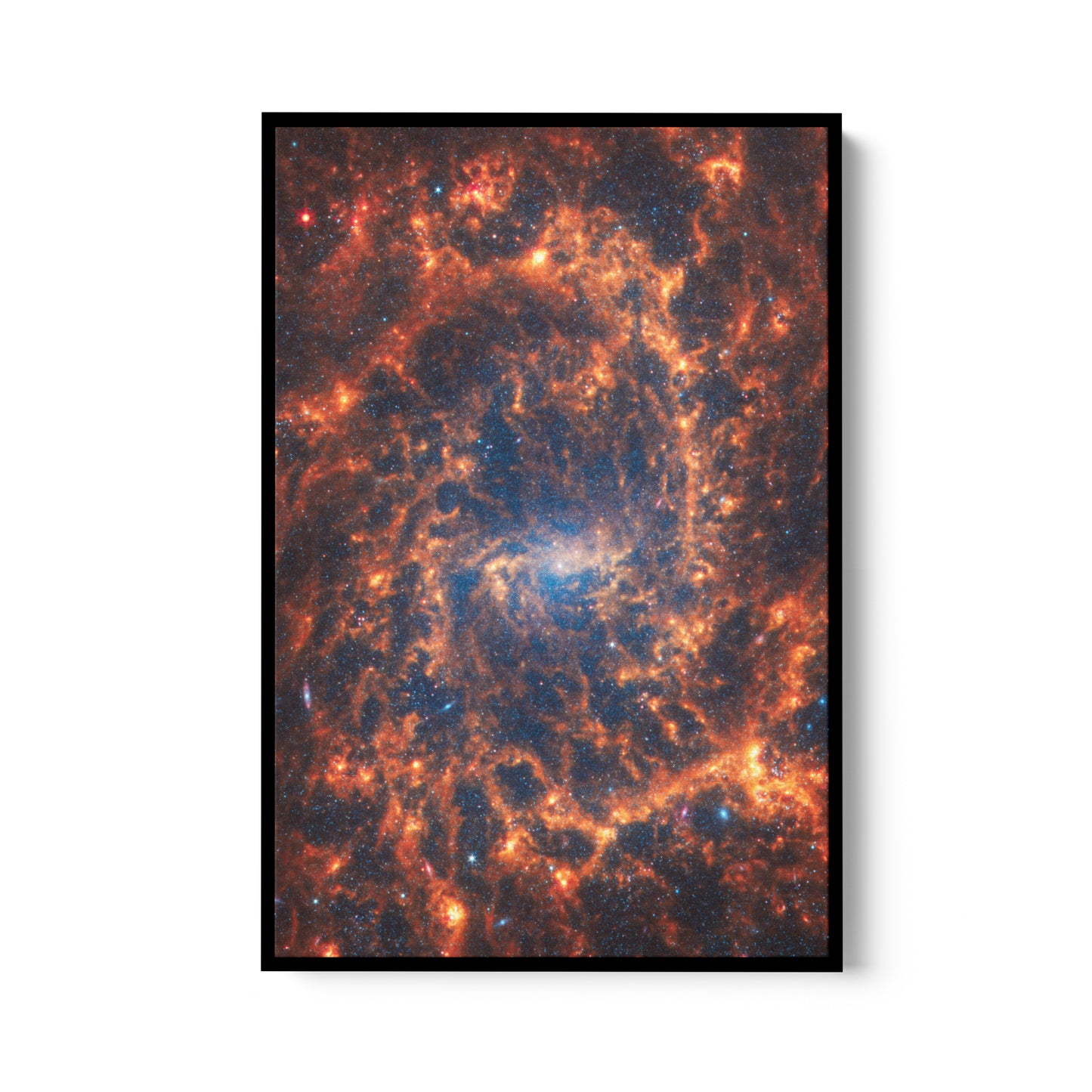 Spiral galaxy NGC 2835