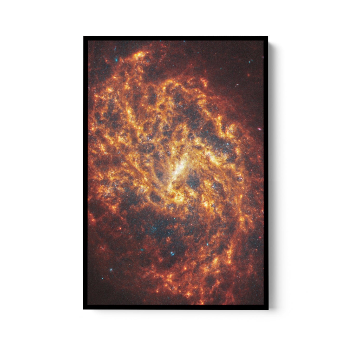 Spiral galaxy NGC 1087