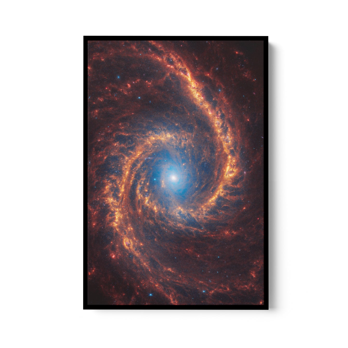 Spiral galaxy NGC 1566