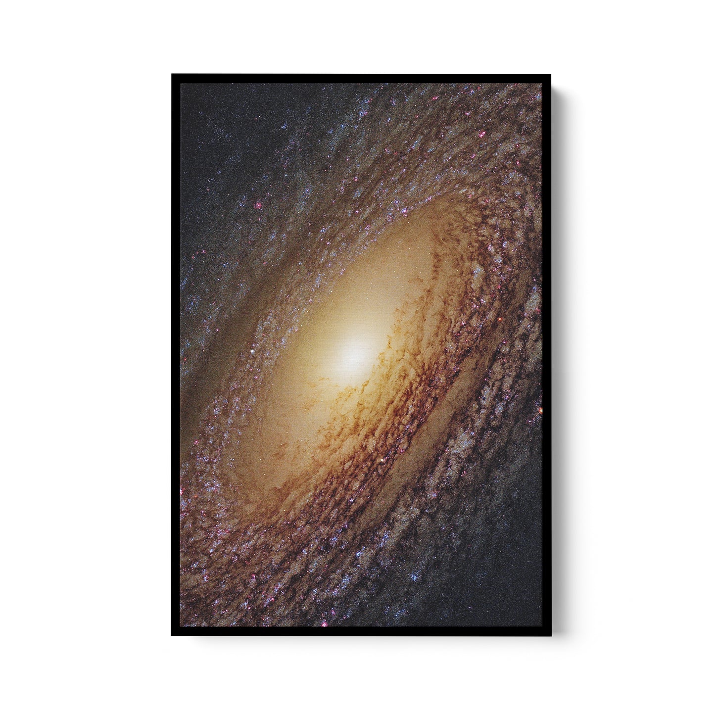 Galaxy NGC 2841