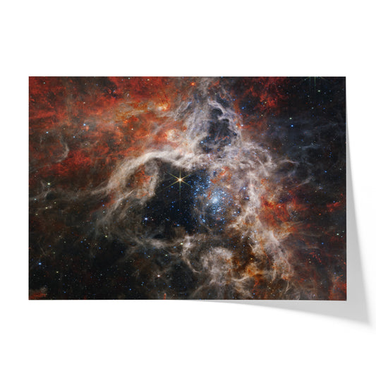 A Cosmic Tarantula