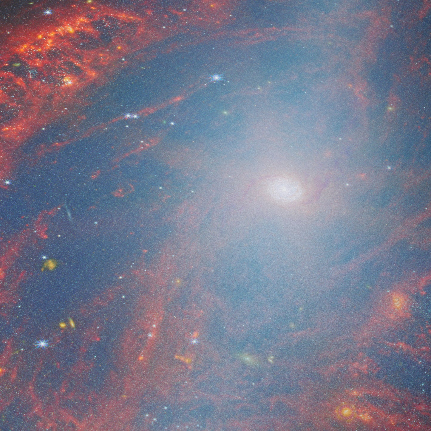 A Detailed View of a Nearby Galaxy NGC 2566